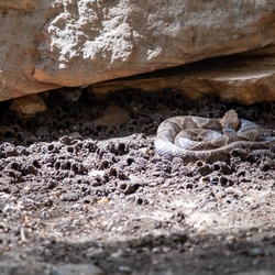 Red River Gorge 2 2025